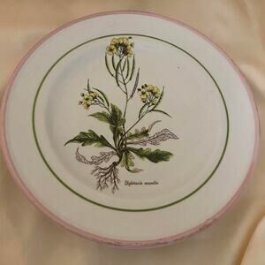 Vintage primula italian pottery diplotaxis